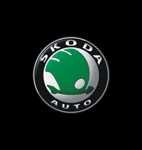 DIRECTION ASSISTEE SKODA